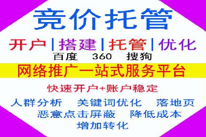 网络推广竞价实战案例分析集